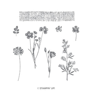 Pressed Flowers | Retired Clear Mount Stamp Set | Stampin' Up!