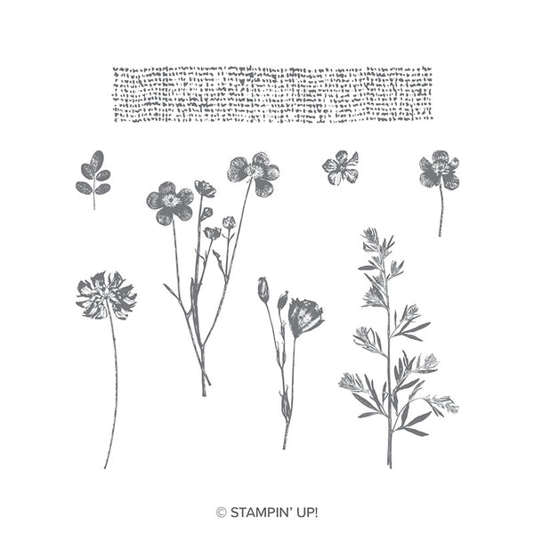 Pressed Flowers | Retired Clear Mount Stamp Set | Stampin' Up!