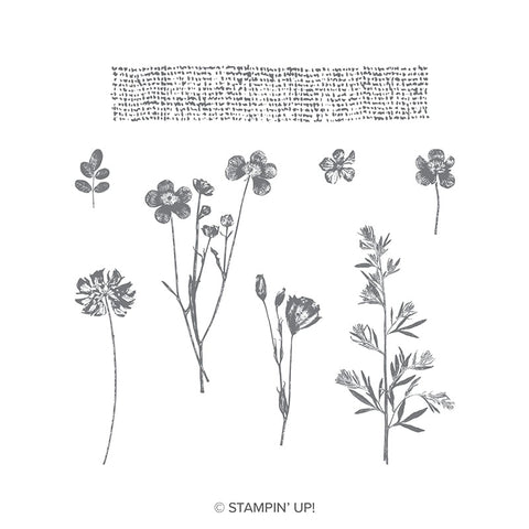 Pressed Flowers | Retired Clear Mount Stamp Set | Stampin' Up!