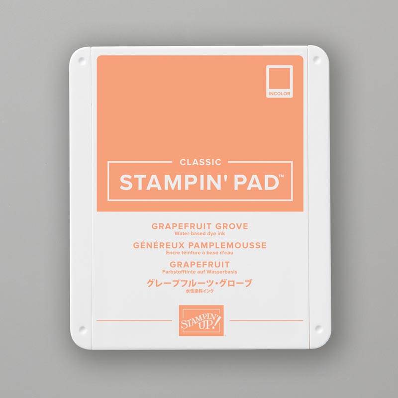 Grapefruit Grove Ink Pad | Retired Colour | Brand New | Stampin' Up!