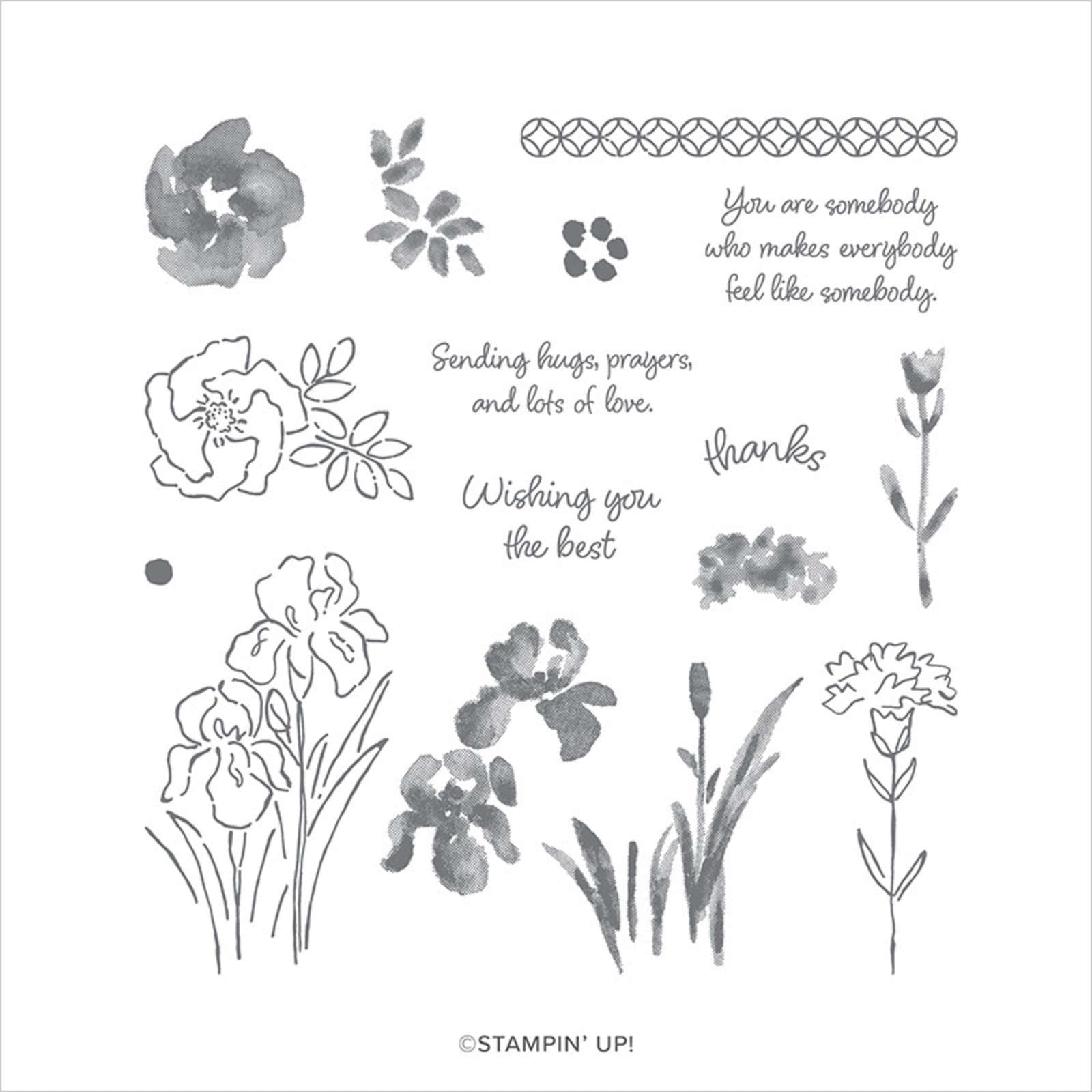 Inspiring Iris | Retired Photopolymer Stamp Set | Stampin' Up!