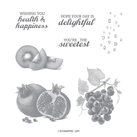 Slice of Happiness | Retired Cling Mount Stamp Set | Stampin' Up!