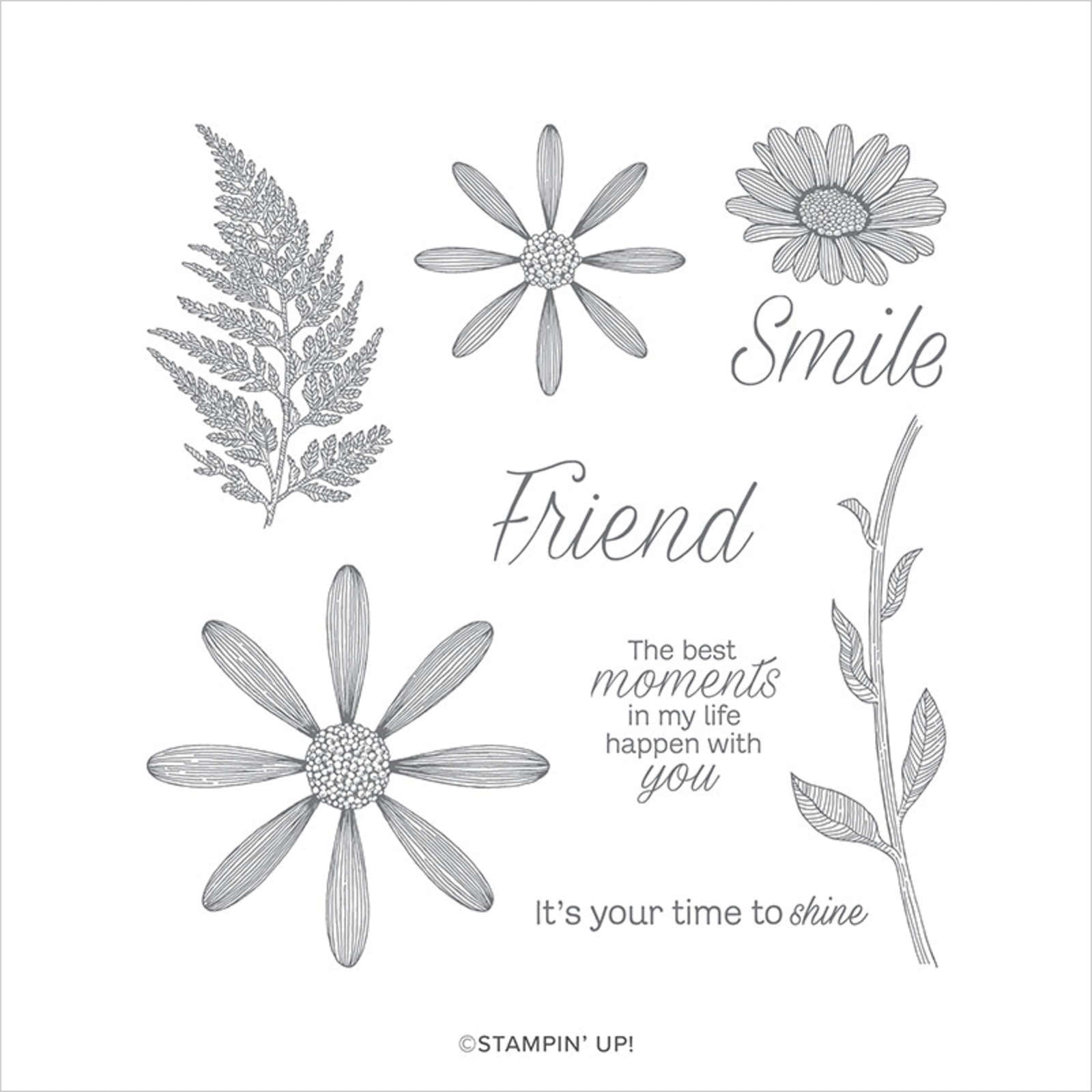 Daisy Lane | Retired Cling Mount Stamp Set | Stampin' Up!