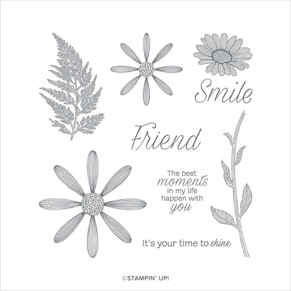 Daisy Lane | Retired Cling Mount Stamp Set | Stampin' Up!