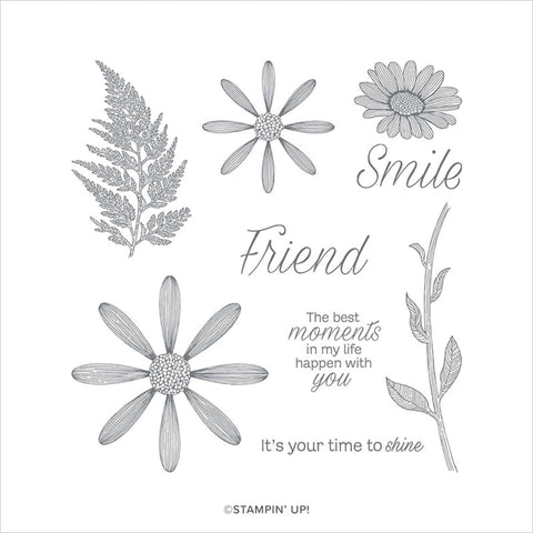 Daisy Lane | Retired Cling Mount Stamp Set | Stampin' Up!