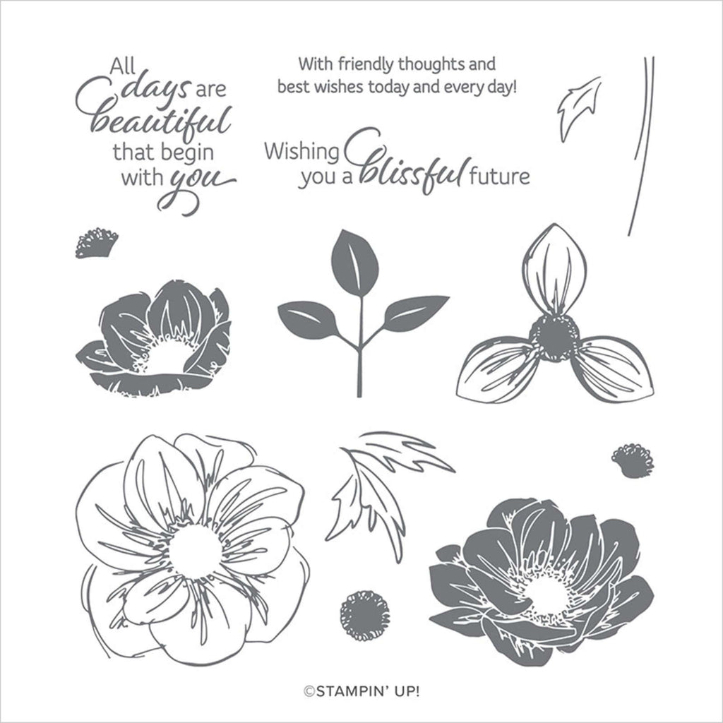 Floral Essence | Retired Photopolymer Stamp Set | Stampin' Up