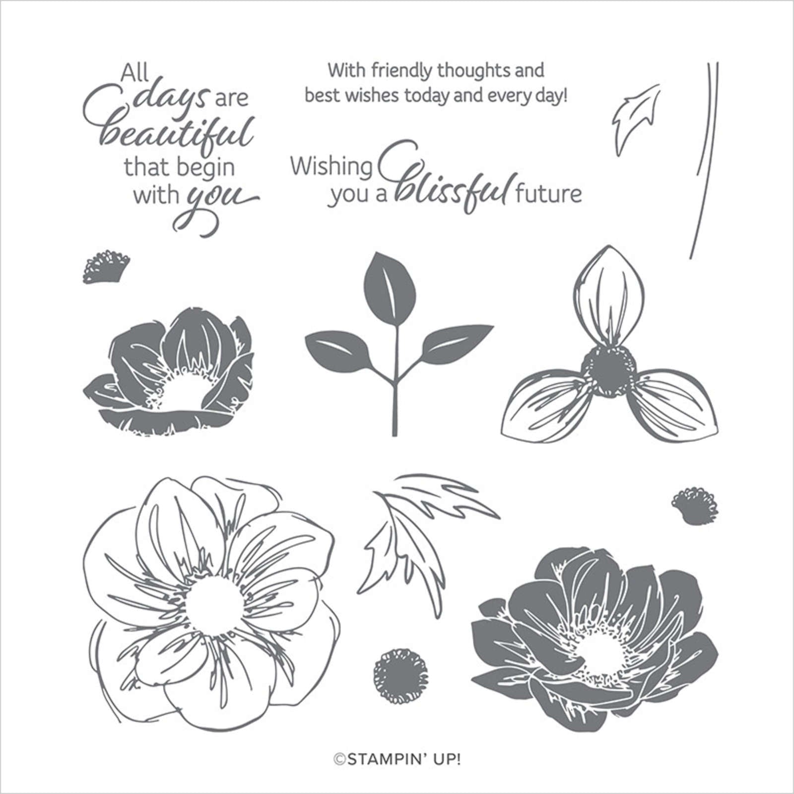 Floral Essence | Retired Photopolymer Stamp Set | Stampin' Up!