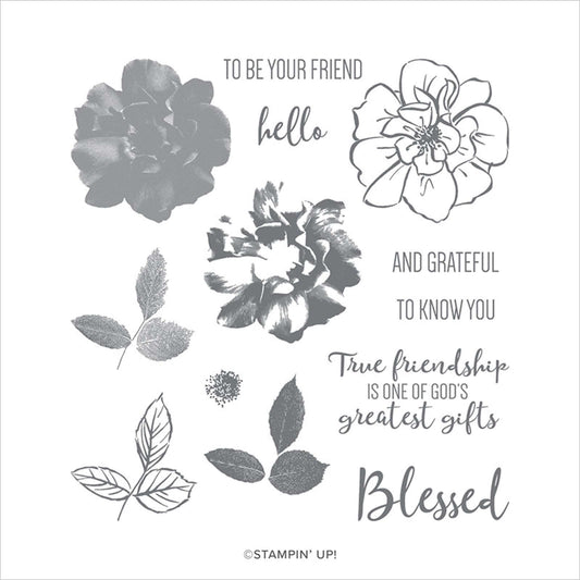 To a Wild Rose | Retired Photopolymer Stamp Set | Stampin' Up!