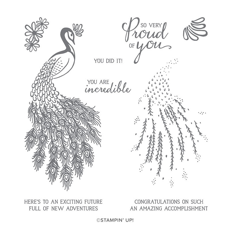 Royal Peacock | Retired Photopolymer Stamp Set | Stampin' Up!