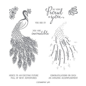 Royal Peacock | Retired Photopolymer Stamp Set | Stampin' Up!