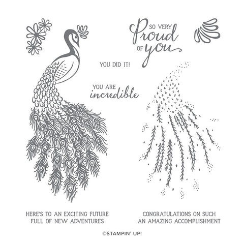 Royal Peacock | Retired Photopolymer Stamp Set | Stampin' Up!