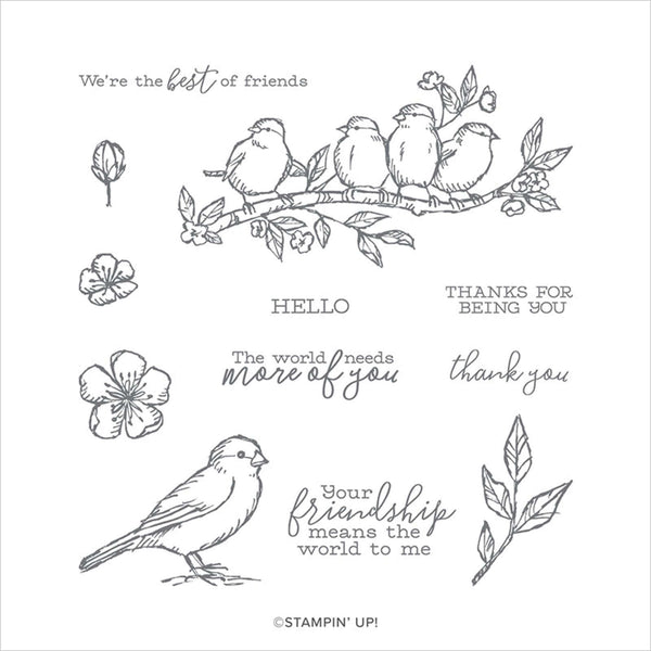 Free as a Bird | Retired Cling Mount Stamp Set | Stampin' Up!