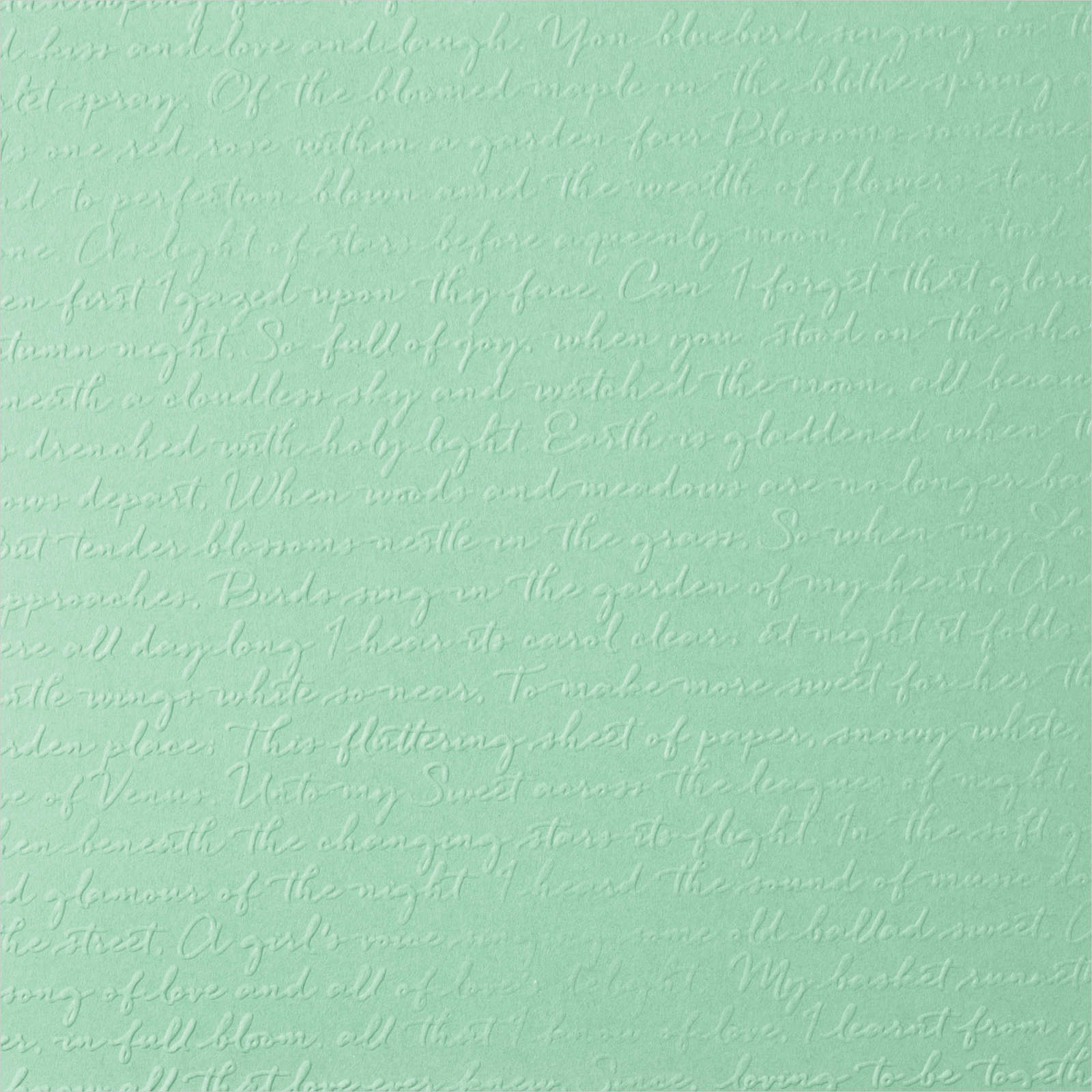 Scripty 3D Embossing Folder Makes Great Card Backgrounds