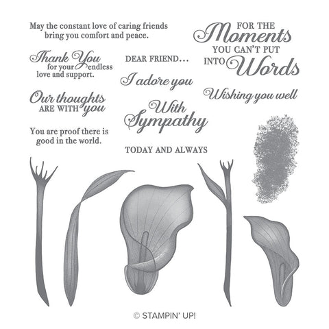 Lasting Lily | Used Sale-a-Bration 2019 | Retired Photopolymer Stamp Set | Stampin' Up!