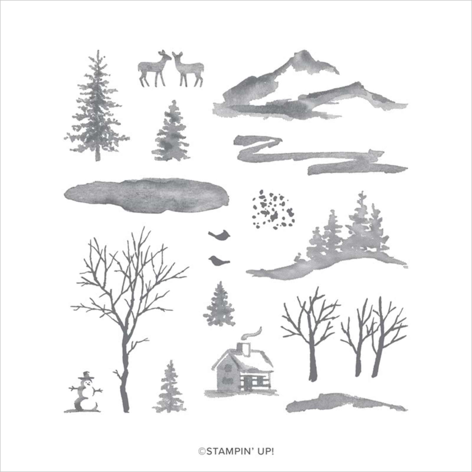 Snow Front | Retired Photopolymer Stamp Set | Stampin' Up!