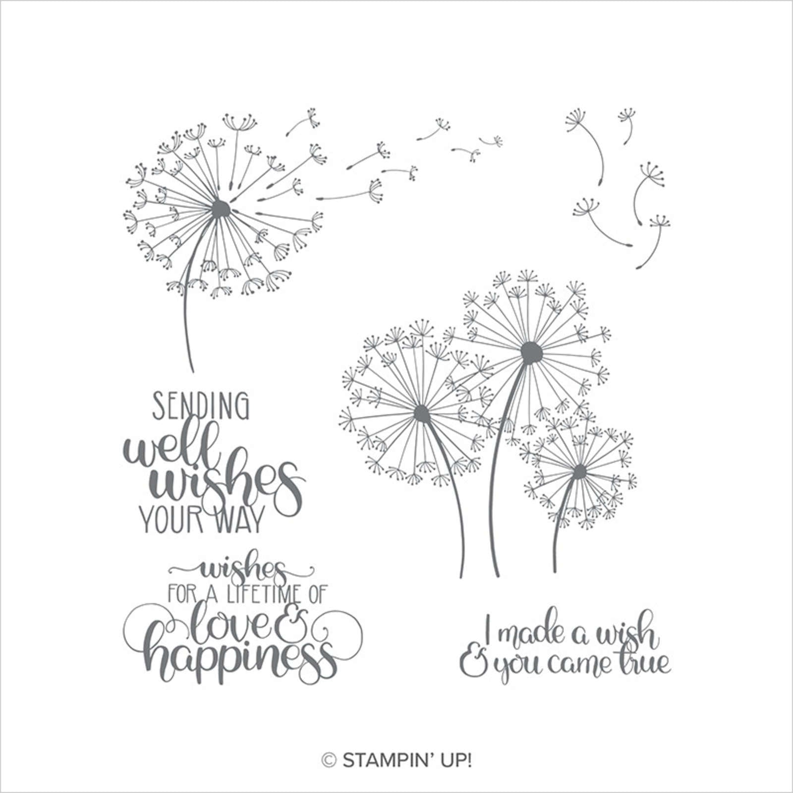 Dandelion Wishes | Retired Clear Mount Stamp Set | Stampin' Up!