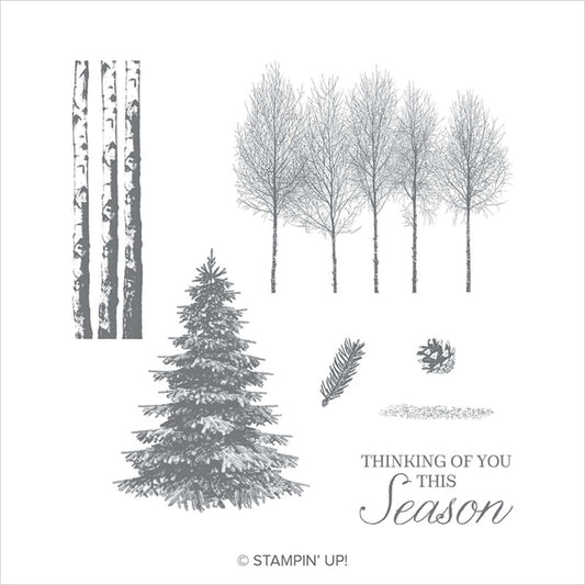 Winter Woods | Retired Cling Mount Stamp Set | Stampin' Up!