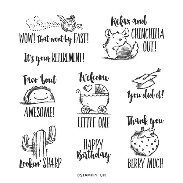 Witty-Cisms | Retired Cling Mount Stamp Set | Stampin' Up!