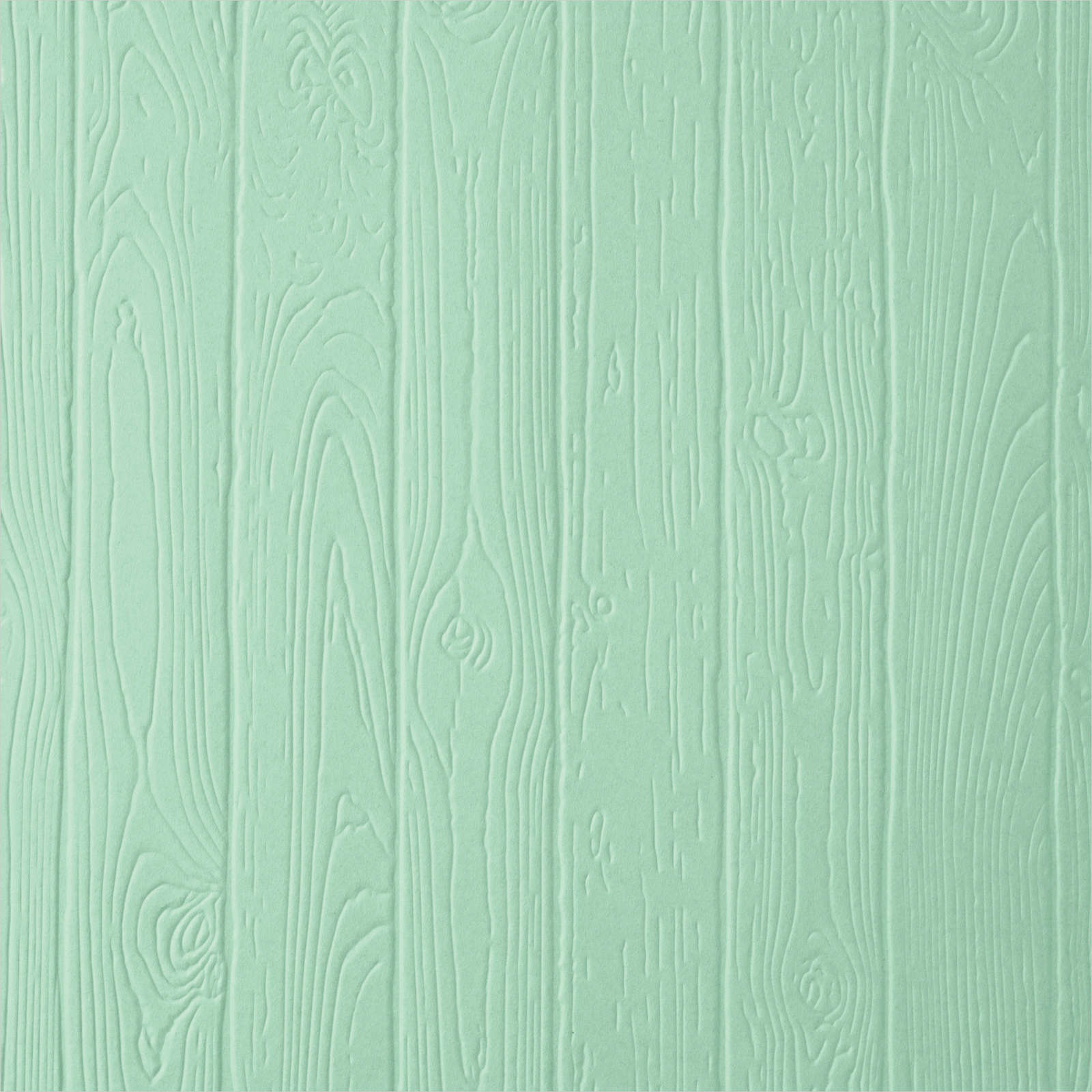 Pinewood Planks 3D Embossing Folder | Retired Embossing Folder | Stampin' Up!