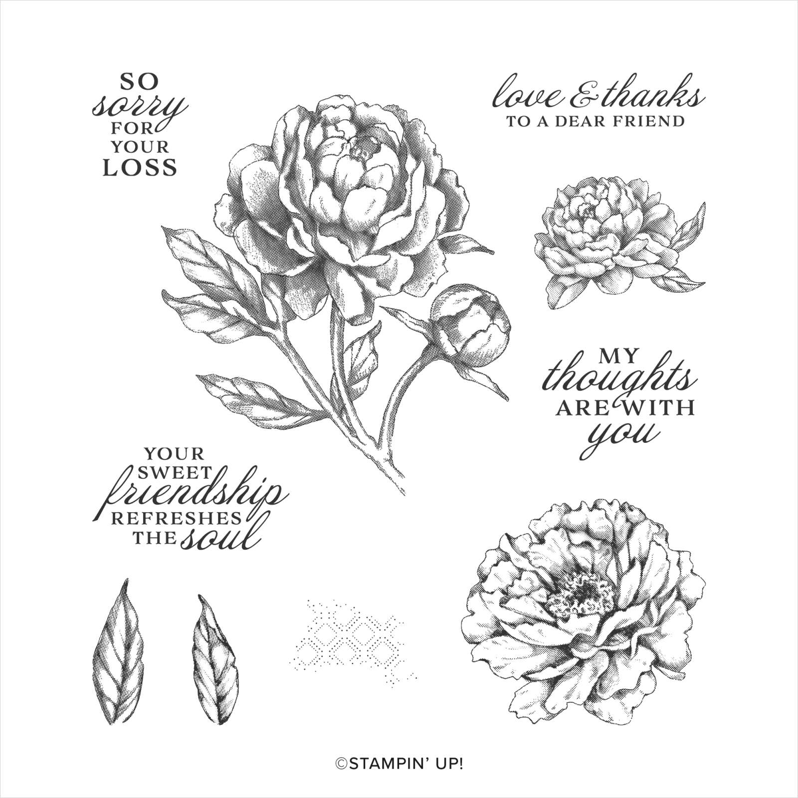 Prized Peony | Retired Cling Mount Stamp Set | Stampin' Up!