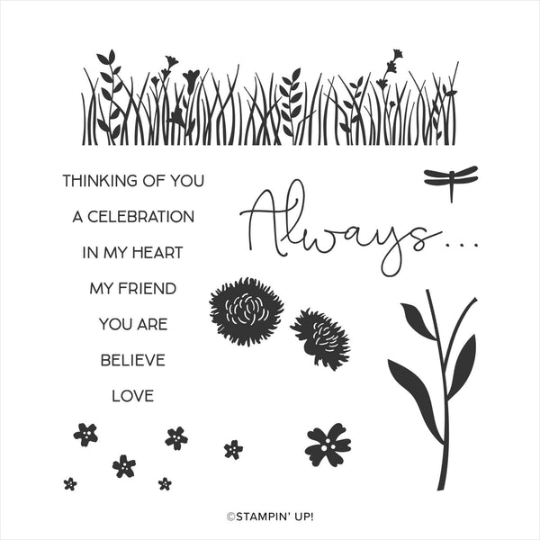 Field of Flowers | Retired Photopolymer Stamp Set | Stampin' Up!