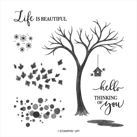 Life is Beautiful | Retired Photopolymer Stamp Set | Stampin' Up!