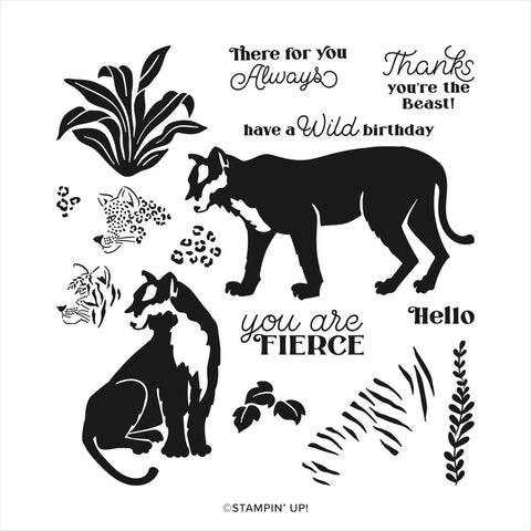 Wild Cats | Retired Photopolymer Stamp Set | Stampin' Up!