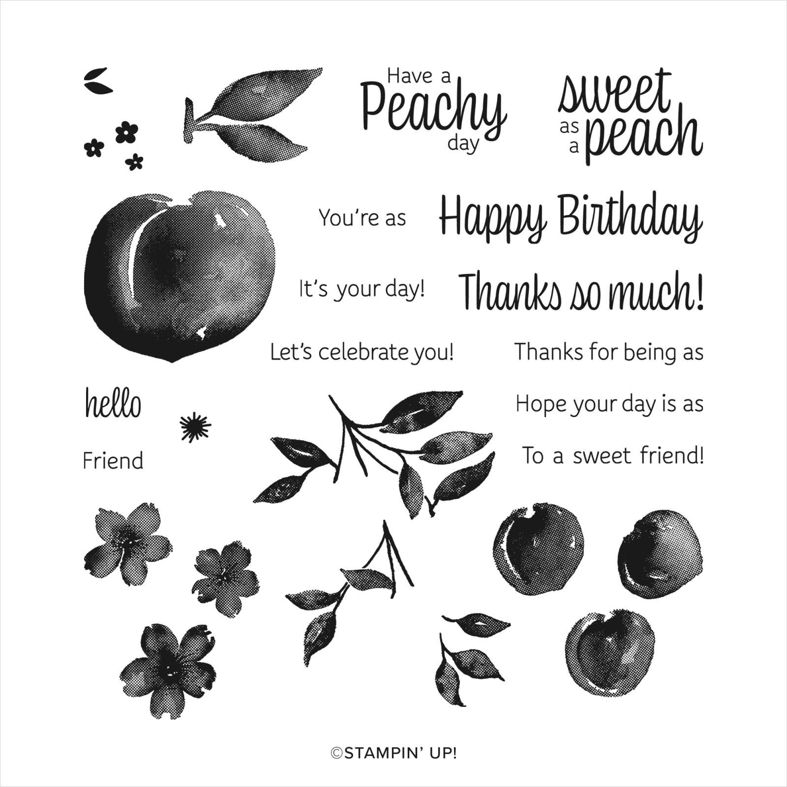 Sweet as a Peach | Retired Photopolymer Stamp Set | Stampin' Up!
