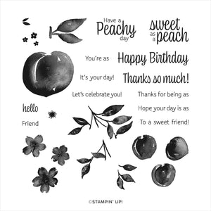 Sweet as a Peach | Retired Photopolymer Stamp Set | Stampin' Up!