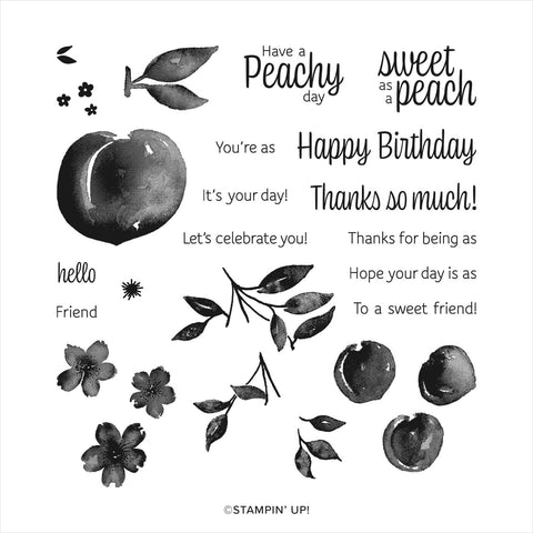 Sweet as a Peach | Retired Photopolymer Stamp Set | Stampin' Up!