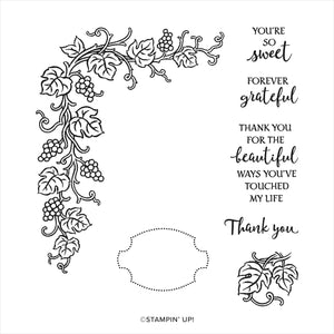 Forever Grapevine | Retired Cling Mount Stamp Set | Stampin' Up!