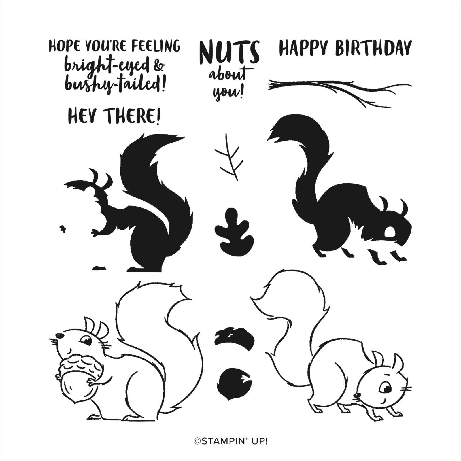 Nuts About Squirrels | Retired Photopolymer Stamp Set | Stampin' Up!