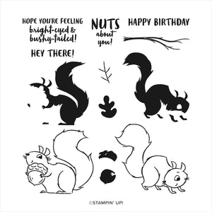 Nuts About Squirrels | Retired Photopolymer Stamp Set | Stampin' Up!