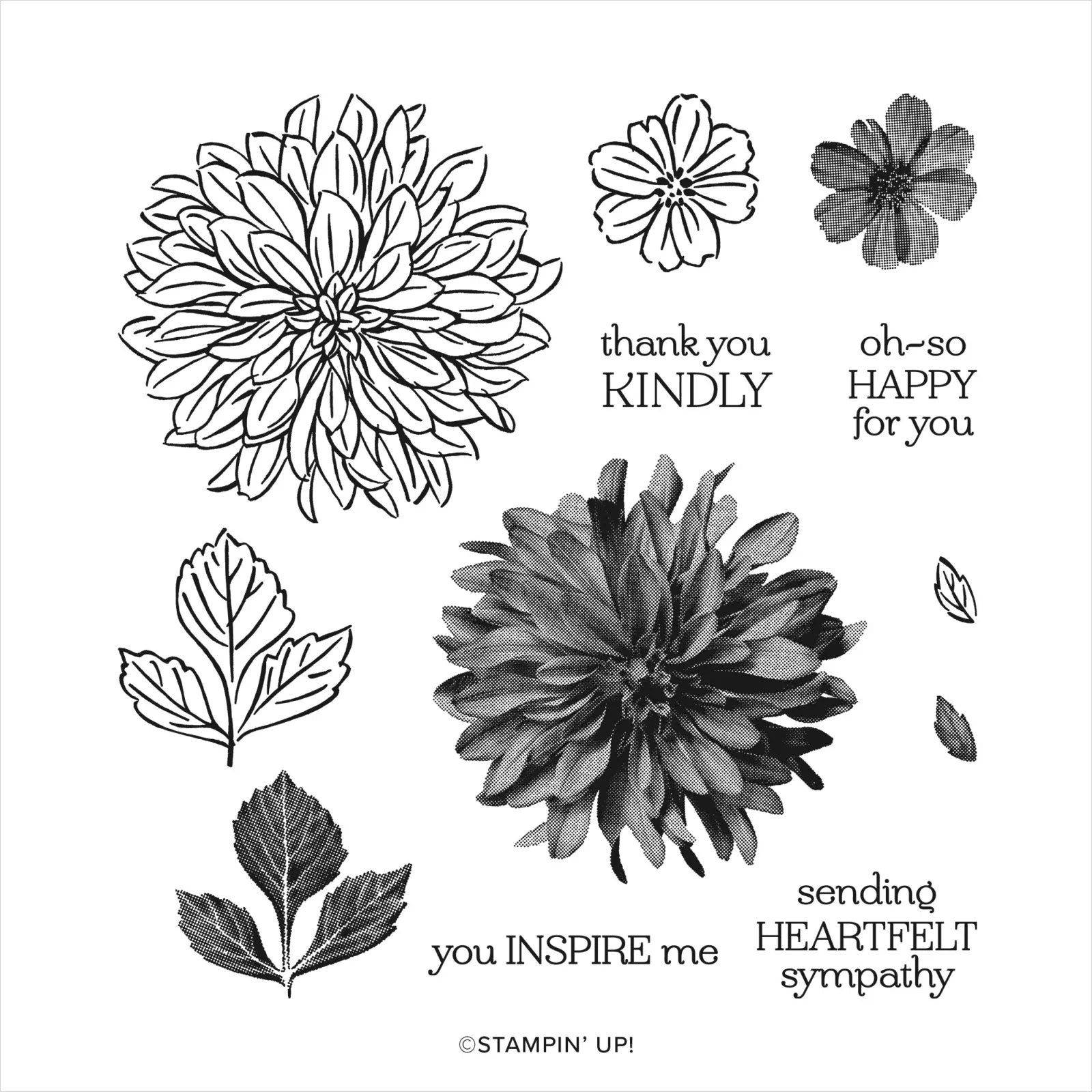 Delicate Dahlias | Saleabration 2021 | Retired Photopolymer Stamp Set | Stampin' Up!