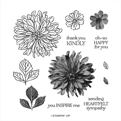 Delicate Dahlias | Saleabration 2021 | Retired Photopolymer Stamp Set | Stampin' Up!