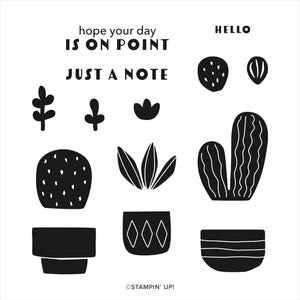 Cactus Cuties | Retired Photopolymer Stamp Set | Stampin' Up!