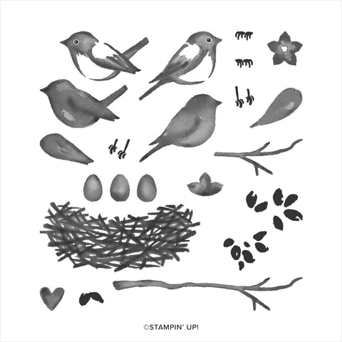 Birds and Branches | Retired Photopolymer Stamp Set | Stampin' Up!
