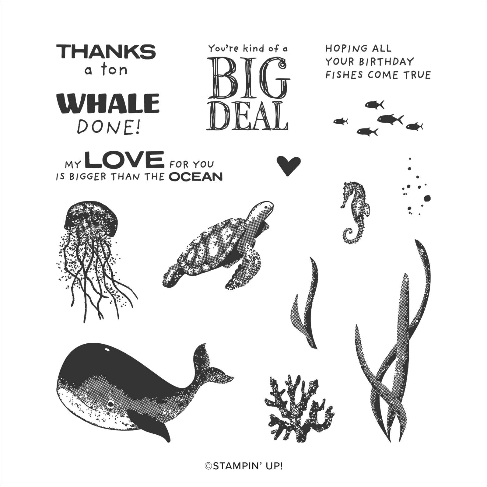 Whale Done | Retired Photopolymer Stamp Set | Stampin' Up!