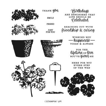 Potted Geraniums | Retired Photopolymer Stamp Set | Stampin' Up!