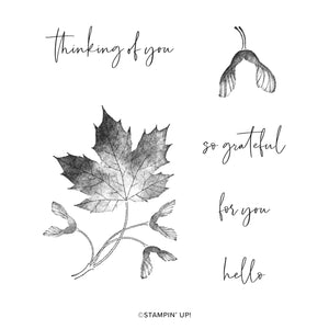 Soft Seedlings | Retired Cling Mount Stamp Set | Stampin' Up!