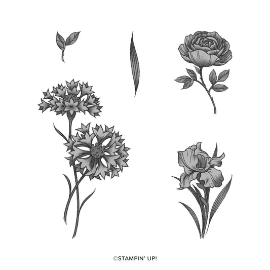 Wonderful World | Saleabration 2022 | Retired Cling Mount Stamp Set | Stampin' Up!