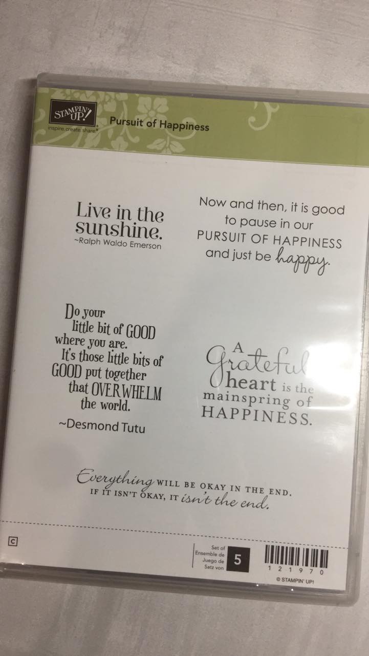 Pursuit of Happiness | Clear Mount Stamp Set