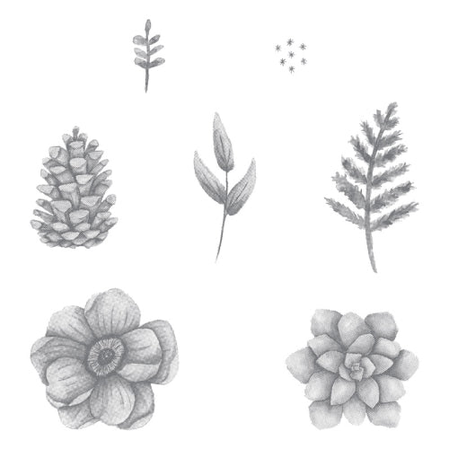 Painted Seasons | Sale-a-Bration 2019 | Retired Cling Mount Stamp Set | Stampin' Up!