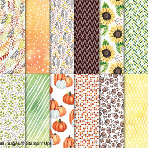 Painted Autumn | 6x12 Designer Series Paper | Retired | 12 sheets