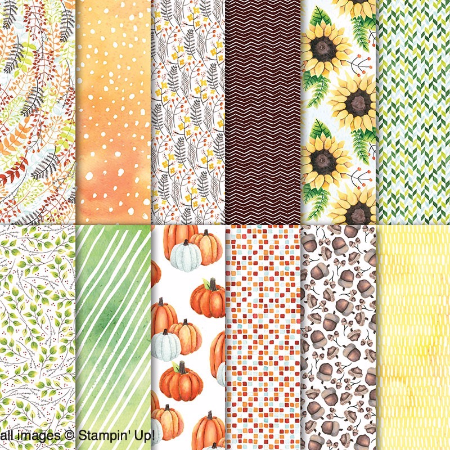 Painted Autumn | 6x12 Designer Series Paper | Retired | 12 sheets