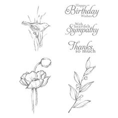Simply Sketched | Retired Wood Mount Stamp Set | Stampin' Up!
