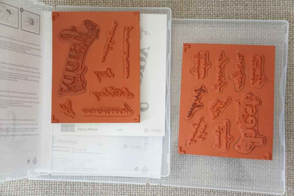 Happy Wishes | Clear Mount Saleabration Stamp Set | SAB (Set of 2)