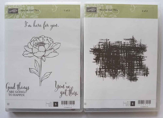 You've Got This | Retired Clear Mount Stamp Set | 2 Case Pack