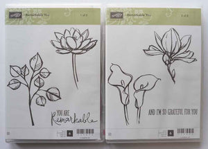 Remarkable You | Retired Clear Mount Stamp Set | 2 Case Pack