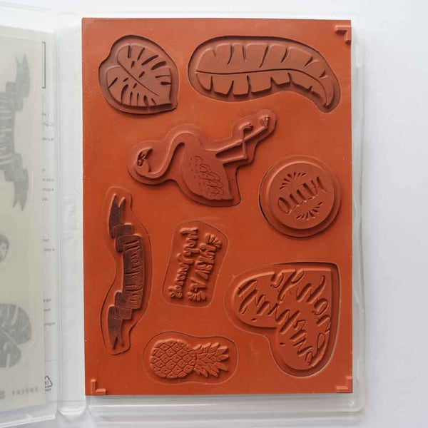 Pop of Paradise | Retired Clear Mount Stamp Set